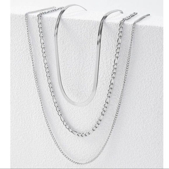 Silverr Layered Stainless Steel Necklace - Picture 1 of 6